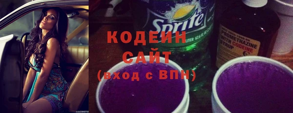 индика Волосово