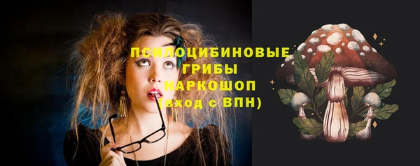 индика Волосово