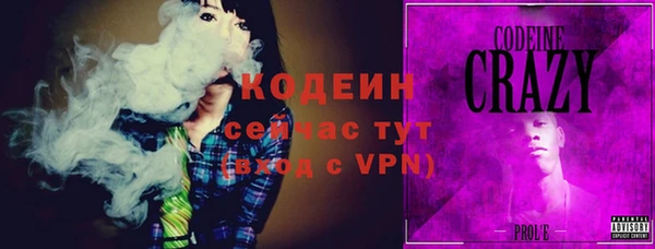индика Волосово