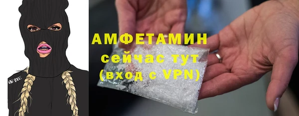 индика Волосово