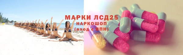 индика Волосово