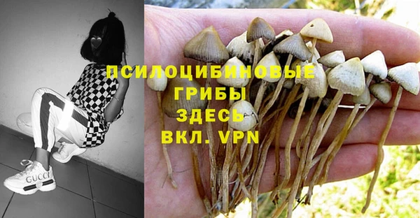 индика Волосово