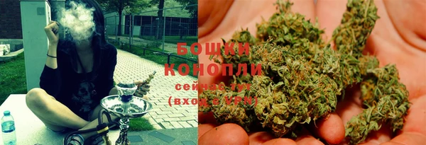 индика Волосово