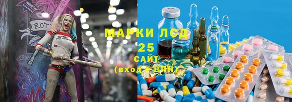 индика Волосово