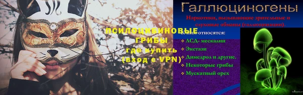 индика Волосово