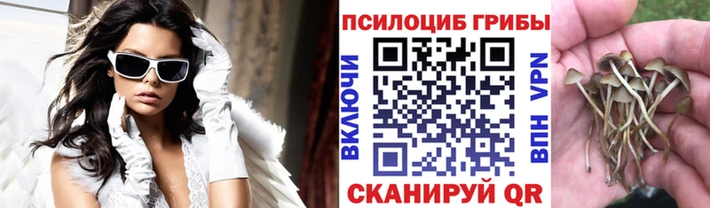 Псилоцибиновые грибы прущие грибы  Купить  Приморско-Ахтарск 